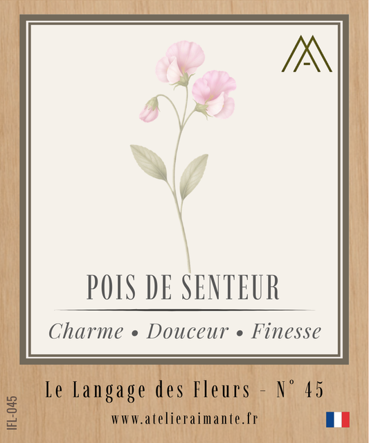 Magnet Instant FLEUR - Pois de Senteur - N°45