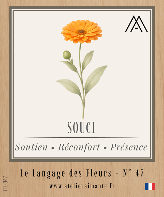 Magnet Instant FLEUR - Souci - N°47