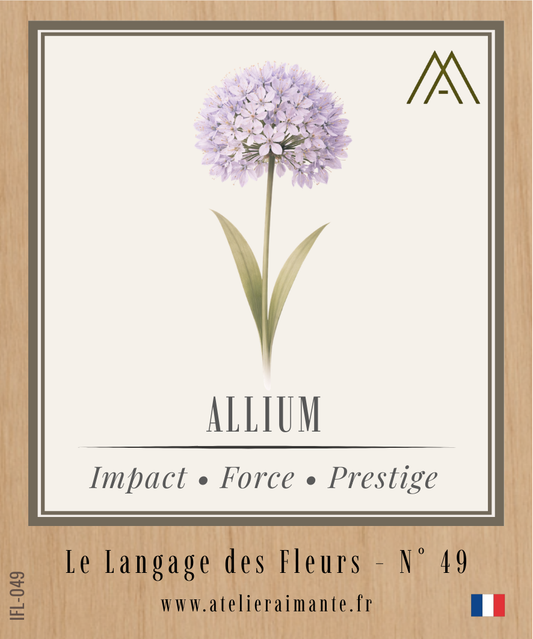 Magnet Instant FLEUR - Allium - N°49