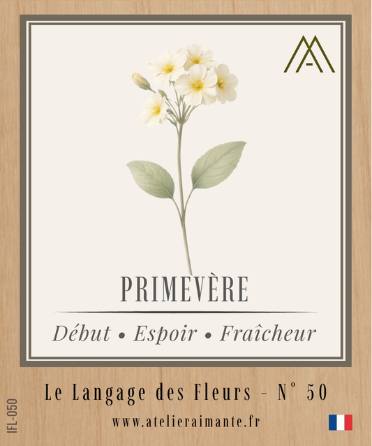 Magnet Instant FLEUR - Primevère - N°50