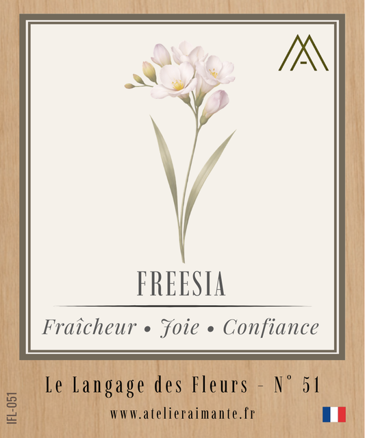 Magnet Instant FLEUR - Freesia - N°51