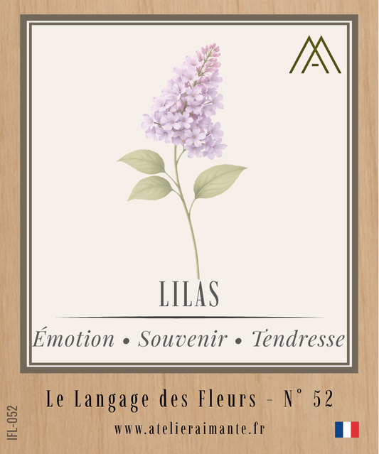 Magnet Instant FLEUR - Lilas - N°52