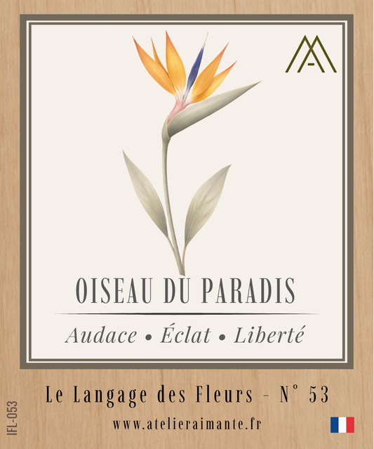Magnet Instant FLEUR - Oiseau du Paradis - N°53