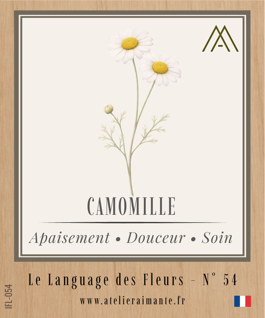 Magnet Instant FLEUR - Camomille - N°54