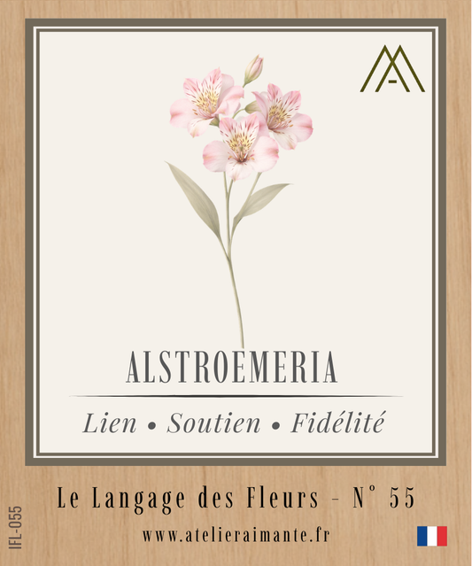 Magnet Instant FLEUR - Alstroemeria - N°55