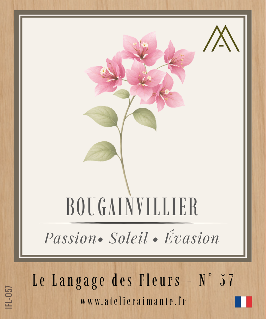 Magnet Instant FLEUR - Bougainvillier - N°57