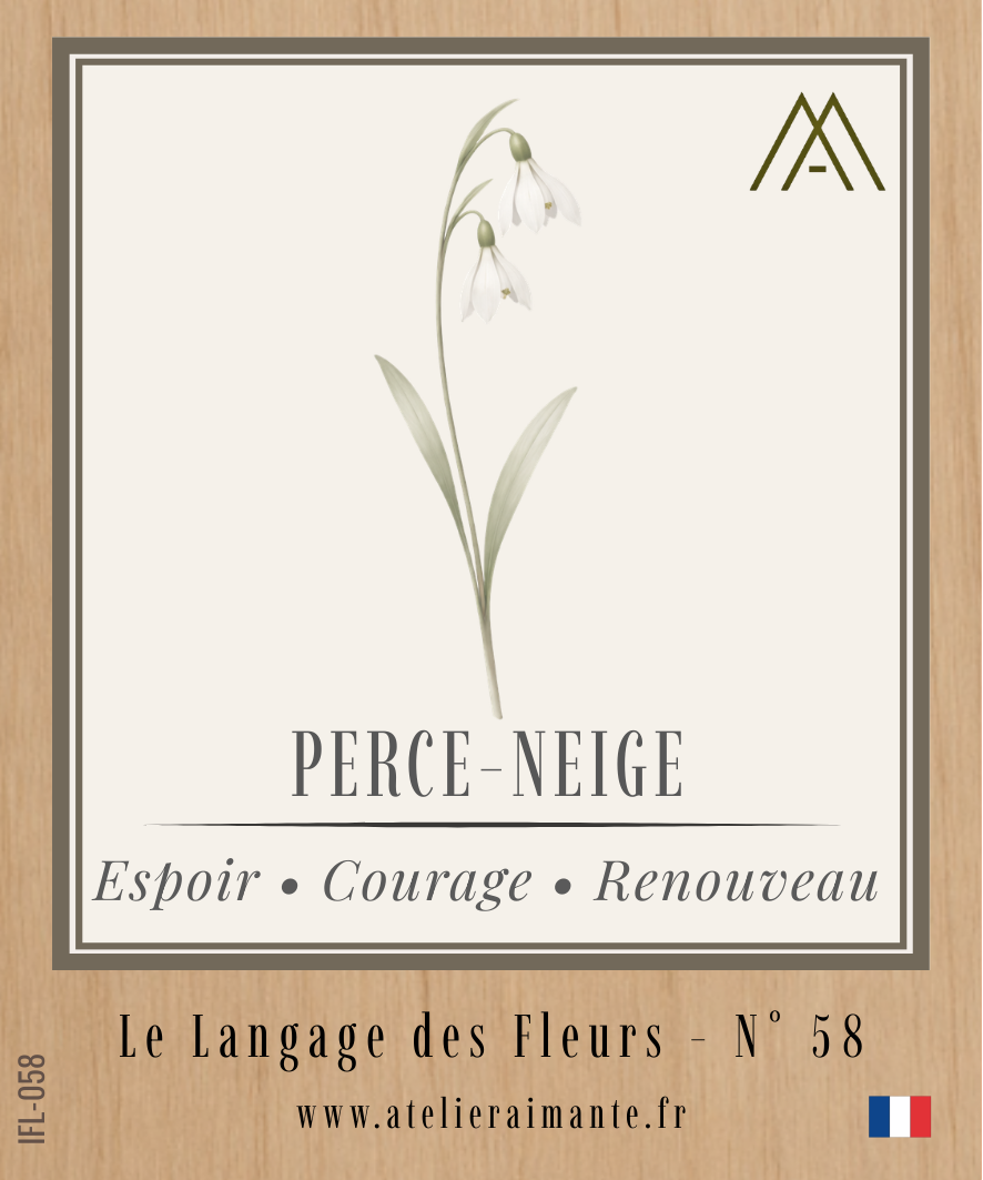 Perce-Neige - Fleur - N°58