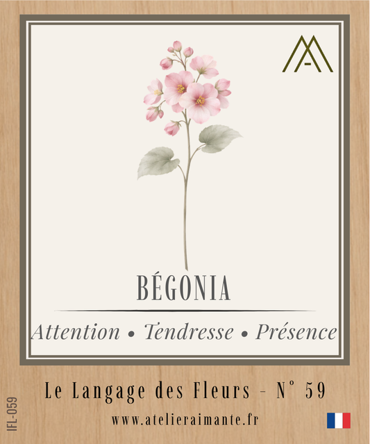 Magnet Instant FLEUR - Bégonia - N°59
