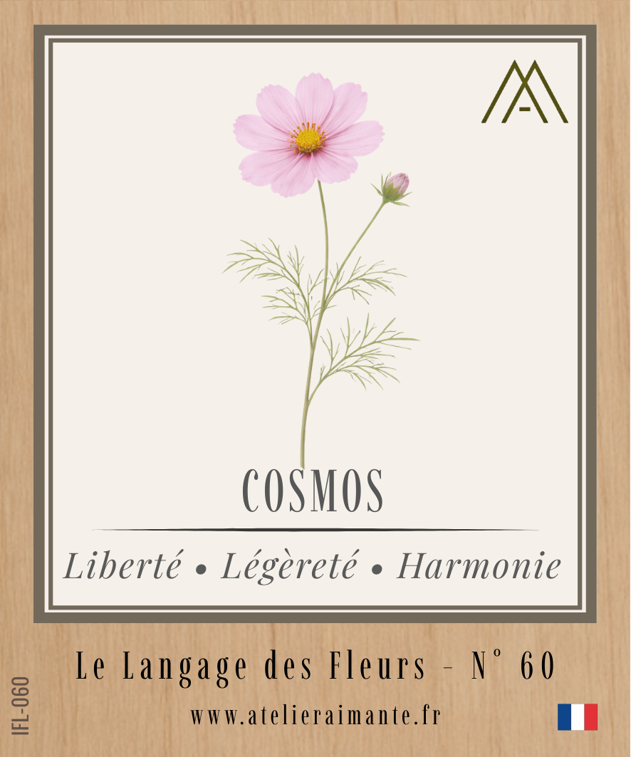 Cosmos - Fleur - N°60