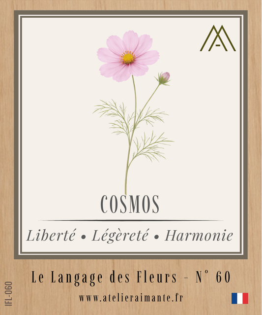 Magnet Instant FLEUR - Cosmos - N°60