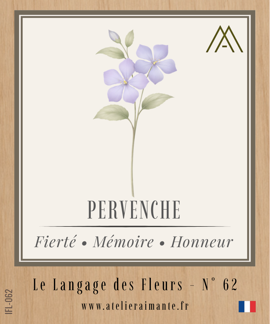 Pervenche - Fleur - N°62