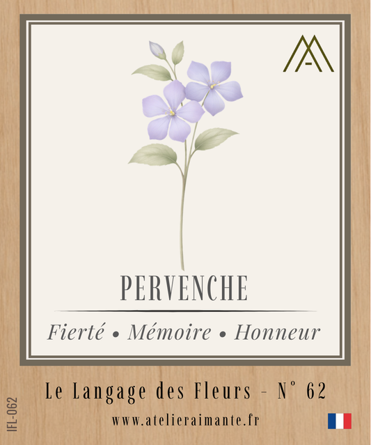 Magnet Instant FLEUR - Pervenche - N°62