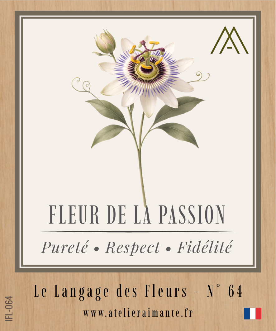 Magnet Instant FLEUR - Fleur de la Passion - N°64