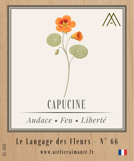 Magnet Instant FLEUR - Capucine - N°66