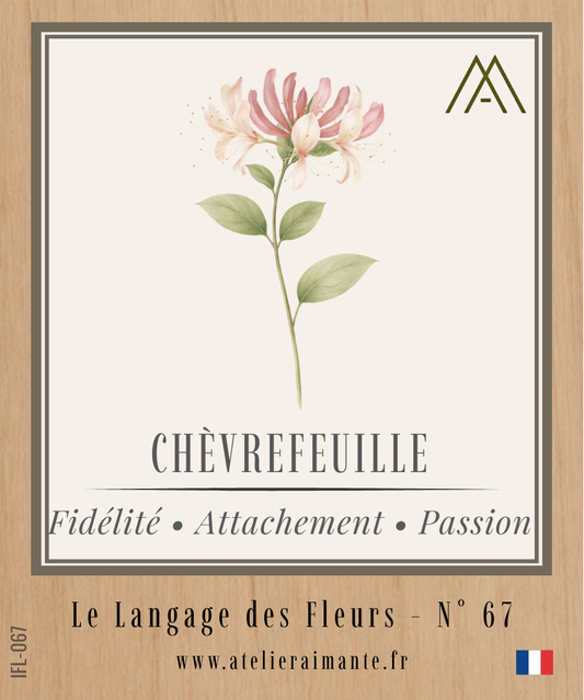 Magnet Instant FLEUR - Chèvrefeuille - N°67