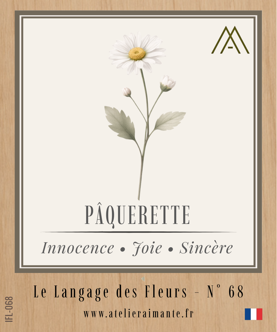 Pâquerette - Fleur - N°68