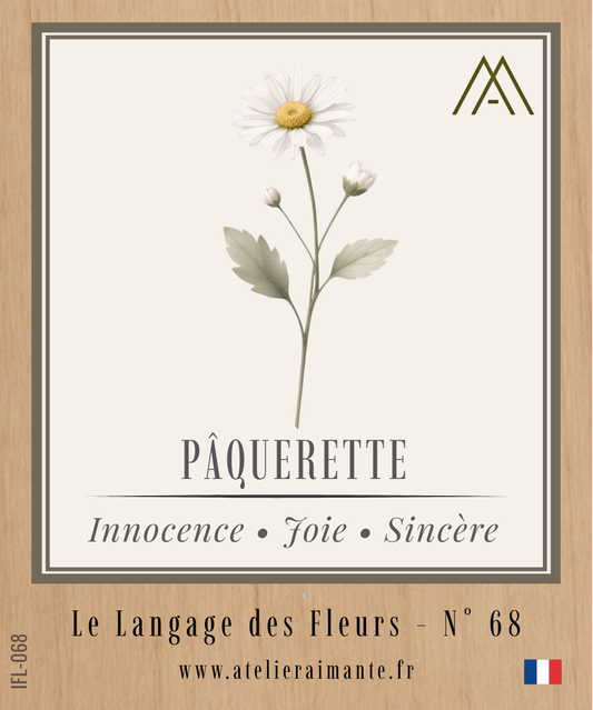 Magnet Instant FLEUR - Pâquerette - N°68
