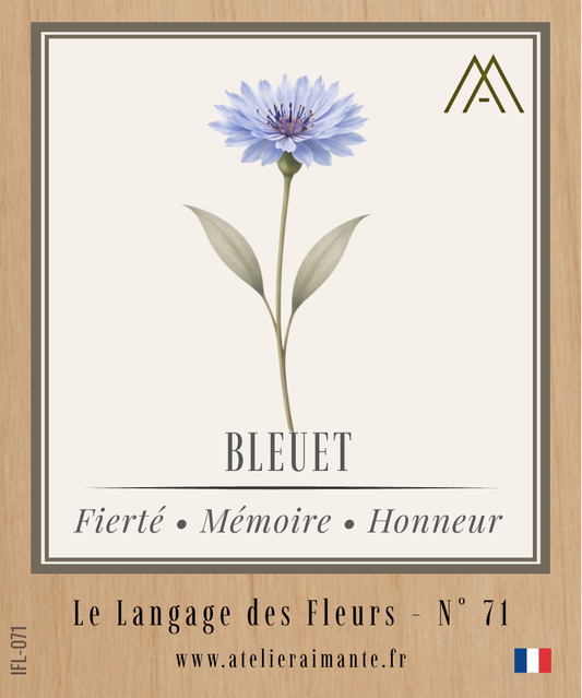 Magnet Instant FLEUR - Bleuet - N°71