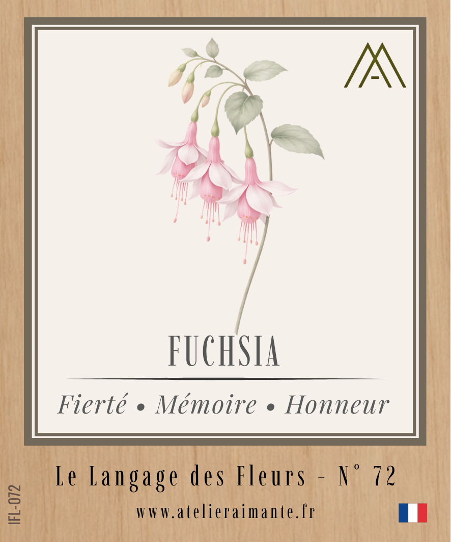 Fuchsia - Fleur - N°72