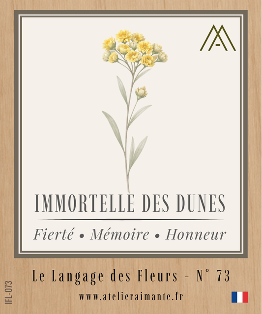 Magnet Instant FLEUR - Immortelle des Dunes - N°73
