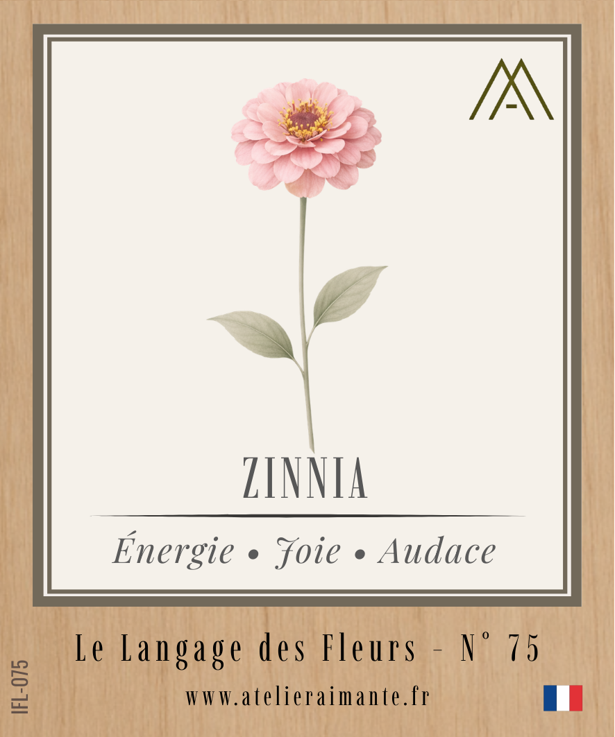 Magnet Instant FLEUR - Zinnia - N°75