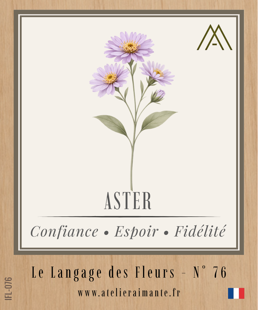 Aster - Fleur - N°76