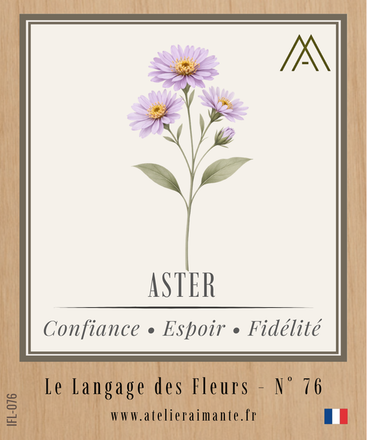 Magnet Instant FLEUR - Aster - N°76