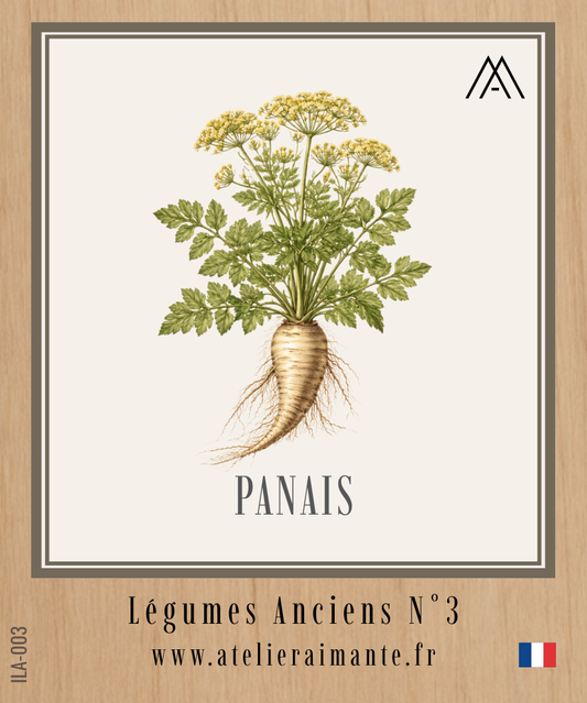 Panais - Légumes Anciens -  N°3