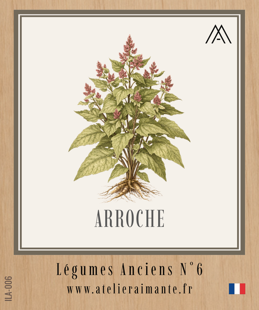 Arroche - Légumes Anciens - N°6