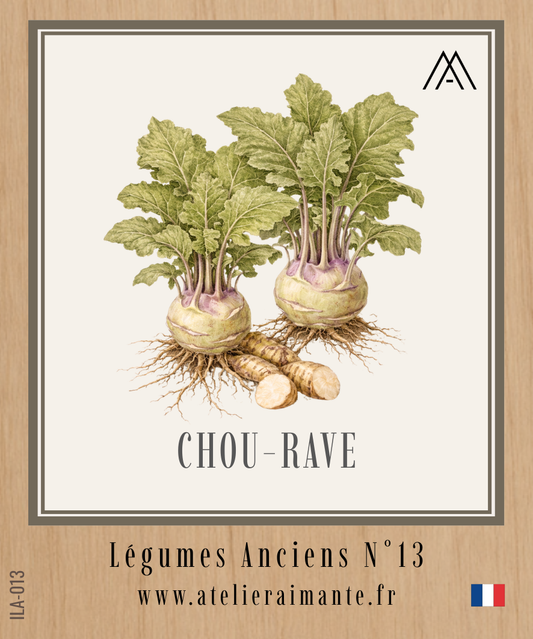 Chou-Rave - Légumes Anciens - N°13