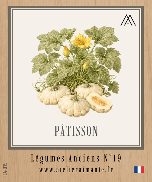 Pâtisson - Légumes Anciens - N°19