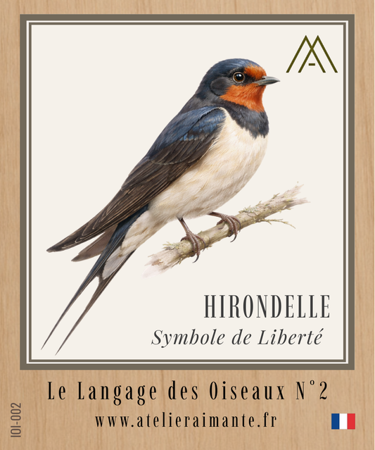 Hirondelle - Oiseaux - N°2