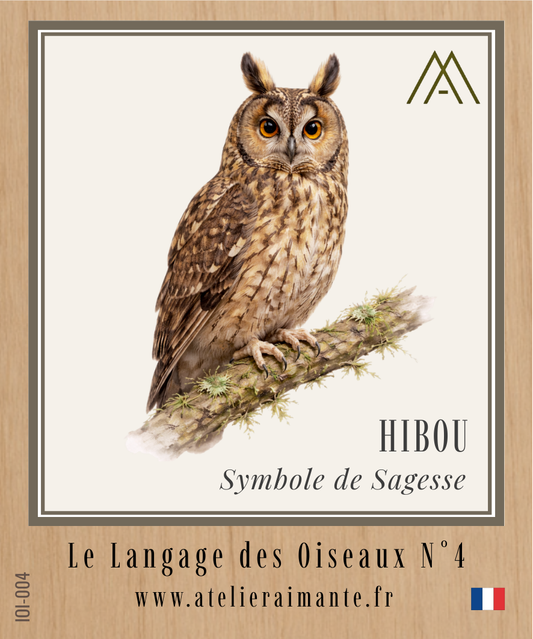 Hibou - Oiseaux - N°4