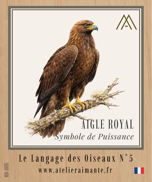 Aigle Royal - Oiseaux - N°5