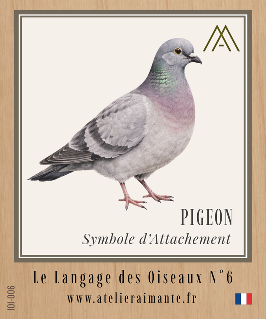 Pigeon - Oiseaux - N°6
