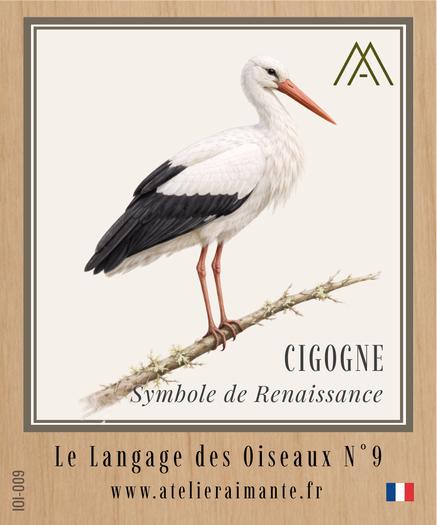 Cigogne - Oiseaux - N°9