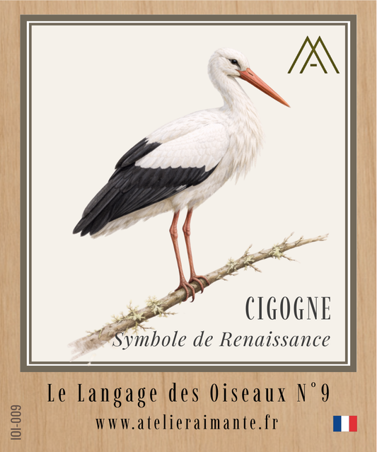 Cigogne - Oiseaux - N°9