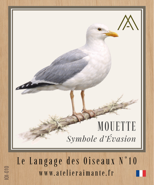 Mouette - Oiseaux - N°10