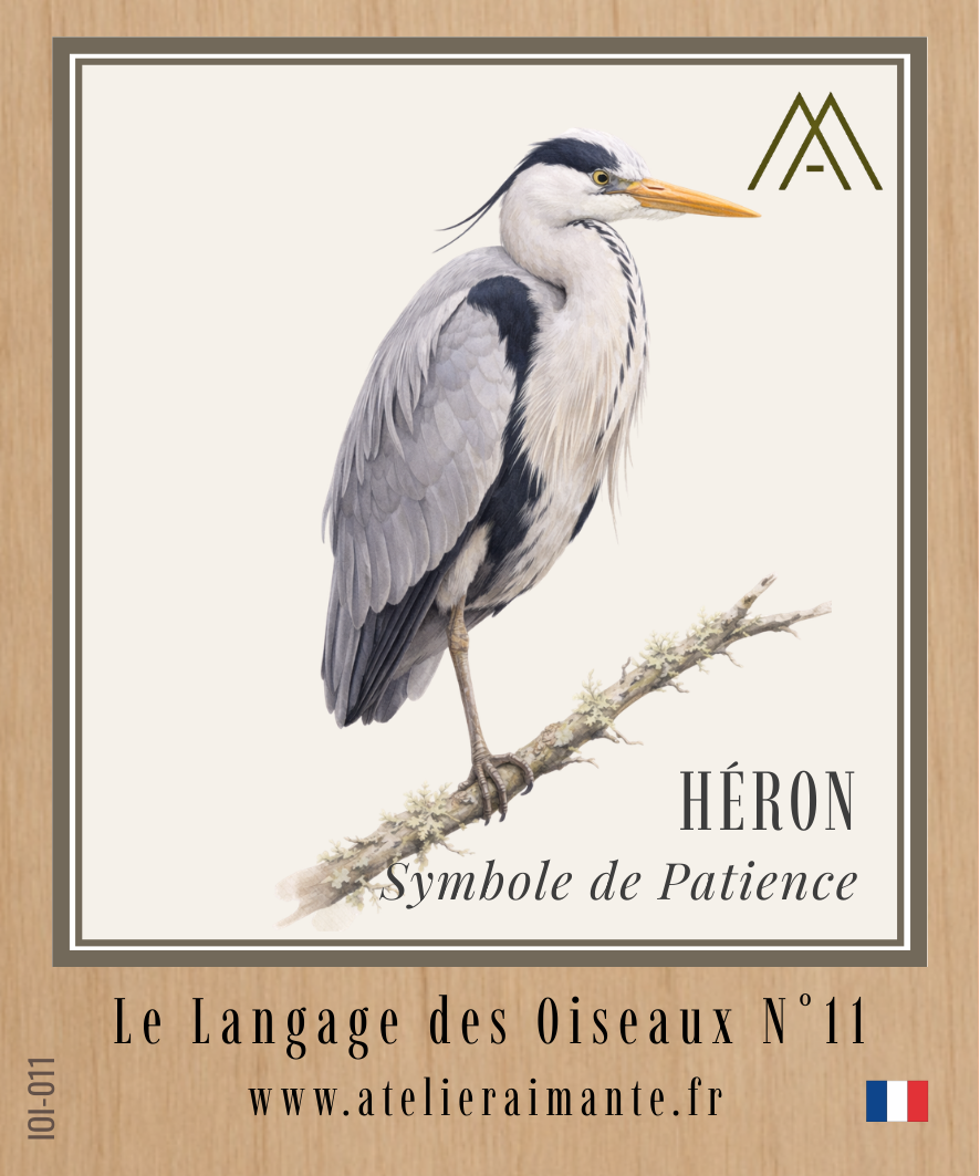 Héron - Oiseaux - N°11