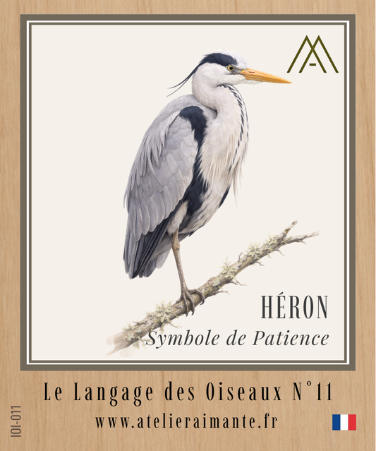 Héron - Oiseaux - N°11