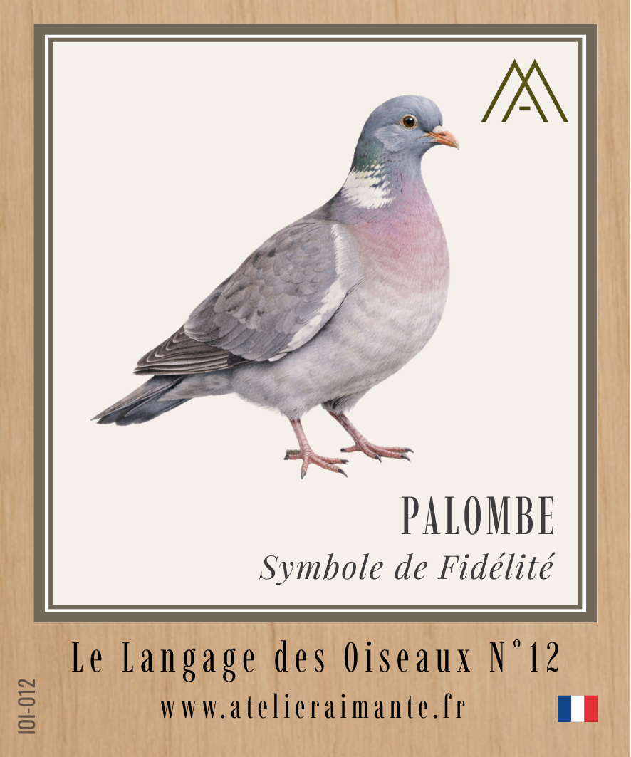 Palombe - Oiseaux - N°12