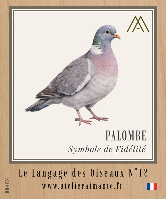 Palombe - Oiseaux - N°12