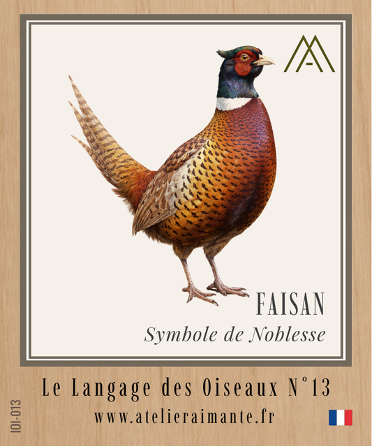Faisan - Oiseaux - N°13