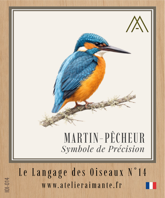 Martin-Pêcheur - Oiseaux - N°14
