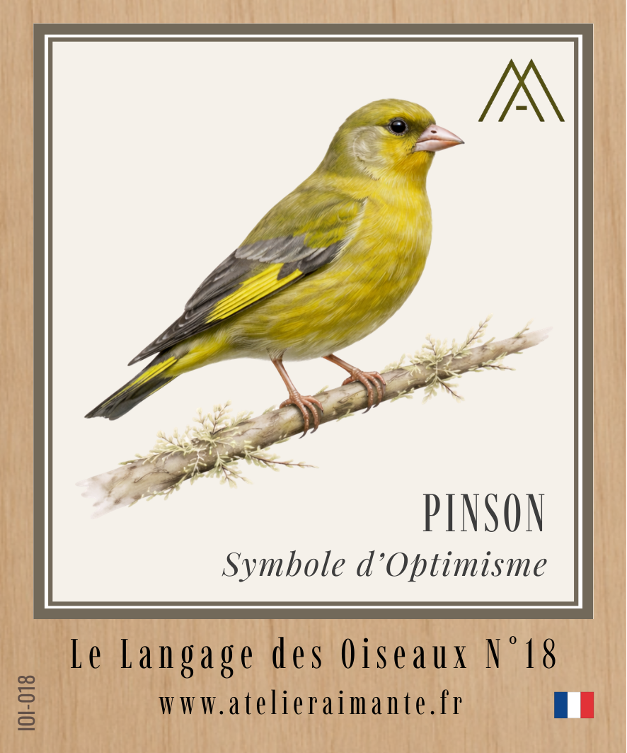 Pinson - Oiseaux - N°18
