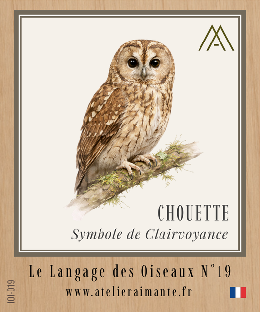 Chouette - Oiseaux - N°19