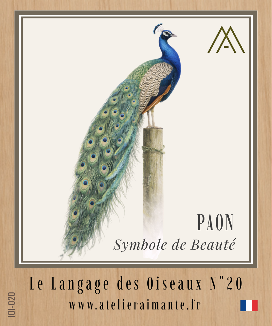 Paon - Oiseaux - N°20
