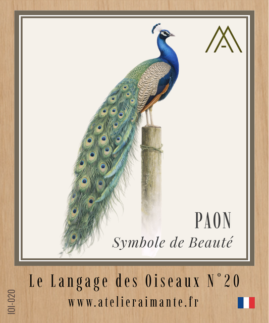 Paon - Oiseaux - N°20
