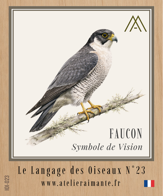 Faucon - Oiseaux - N°23