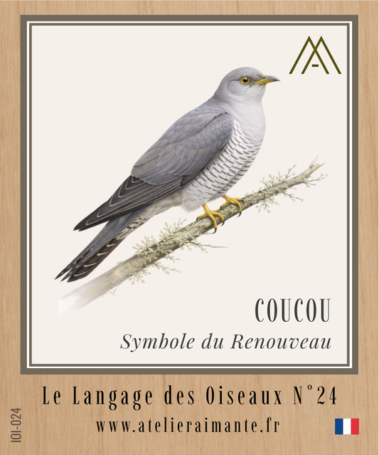 Coucou - Oiseaux - N°24